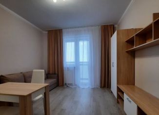 Сдам квартиру студию, 28 м2, Санкт-Петербург, Парашютная улица, 34