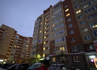 Продаю однокомнатную квартиру, 32 м2, Шлиссельбург, Луговая улица, 4к1