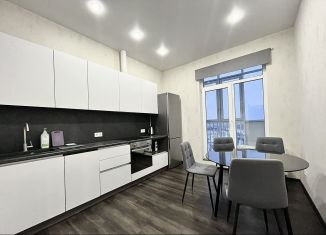 Сдается в аренду 1-ком. квартира, 40 м2, Санкт-Петербург, Кушелевская дорога, 6к1, метро Выборгская