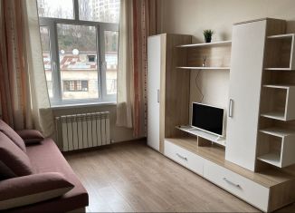 Продается квартира студия, 20 м2, Краснодарский край, переулок Чехова, 8