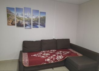 Сдаю квартиру студию, 23 м2, село Кушнаренково, Красноармейская улица, 70А