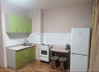 Квартира в аренду студия, 24 м2, Красноярск, улица Чернышевского, 110