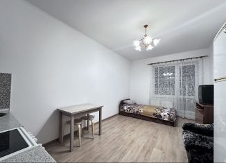 Сдается квартира студия, 25 м2, Санкт-Петербург, Плесецкая улица, 20к1