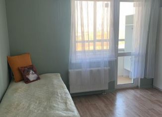 Аренда квартиры студии, 20 м2, Санкт-Петербург, Чарушинская улица, 26к1