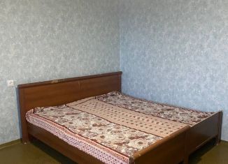 Сдается в аренду 1-ком. квартира, 35 м2, Пермь, улица Карпинского, 101, Индустриальный район