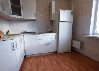 Сдаю 1-комнатную квартиру, 40 м2, Екатеринбург, улица Викулова, 65, метро Геологическая