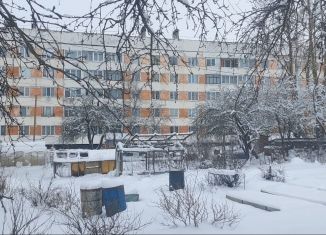 Трехкомнатная квартира на продажу, 61 м2, деревня Яльгелево, деревня Яльгелево, 45