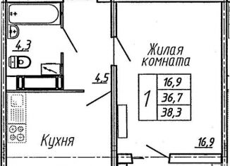 Продаю 1-комнатную квартиру, 38.3 м2, Воронеж, улица Пескова, 6, Центральный район