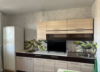 Продажа квартиры студии, 23.8 м2, посёлок Берёзовый, улица имени А.Н. Лодыгина, 1, ЖК Прогресс