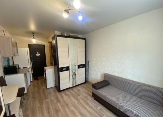 Сдается квартира студия, 24 м2, Приморский край, Некрасовская улица, 46