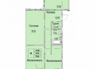 Продаю трехкомнатную квартиру, 77.4 м2, Нижегородская область, Вязниковская улица, 41