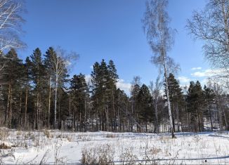 Продажа земельного участка, 8 сот., деревня Новолисиха