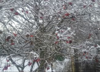 Продается дом, 44.5 м2, деревня Ямищево