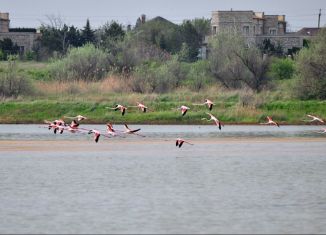 Продажа участка, 5.7 сот., Саки, Михайловское шоссе, 85