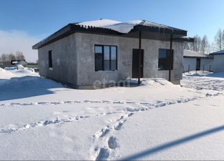 Продам дом, 100 м2, деревня Байрак, Фёдоровский тракт