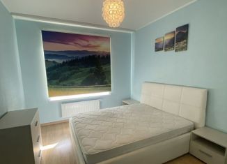 Двухкомнатная квартира на продажу, 51.3 м2, Мурино, улица Шувалова, 3, ЖК Гринландия