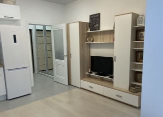 Сдаю квартиру студию, 24 м2, Мытищи, проспект Астрахова, 5Ак3, ЖК Новое Медведково