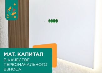 Продается однокомнатная квартира, 38.8 м2, село Сокуры