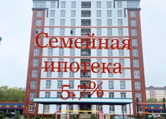 Продажа 1-комнатной квартиры, 74 м2, Нальчик, Балкарская улица, 97к3, ЖК Петровский