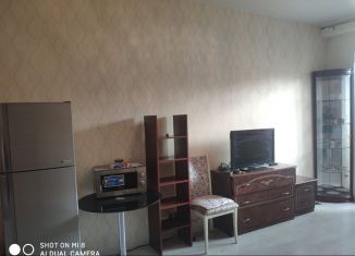 Квартира в аренду студия, 24 м2, село Бисерово