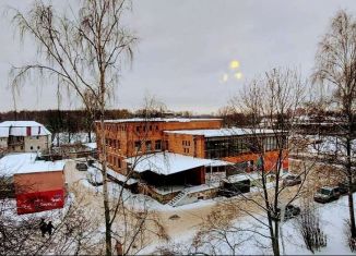 Продажа 1-комнатной квартиры, 30 м2, Петергоф, улица Халтурина, 3