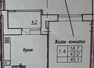 Продаю 1-комнатную квартиру, 45.1 м2, Новочебоксарск