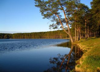 Продаю участок, 9 сот., поселок Самусь, Речной переулок