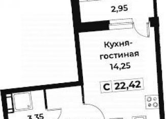 Квартира на продажу студия, 22.4 м2, Мурино, Ручьёвский проспект, 2к3, ЖК Авиатор