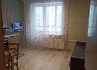 Продам квартиру студию, 24.3 м2, Мурино, Екатерининская улица, 2, ЖК Виктория