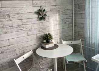 1-комнатная квартира на продажу, 30.3 м2, Сухой Лог, Юбилейная улица