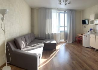 Продается квартира студия, 26 м2, Мурино, проспект Авиаторов Балтики, ЖК Виктория