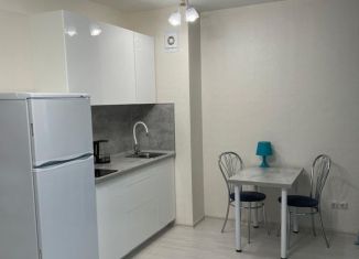 Продажа квартиры студии, 22.5 м2, посёлок Парголово, Толубеевский проезд, 24, ЖК Северная Долина