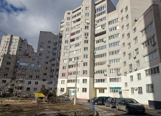 Продажа двухкомнатной квартиры, 64 м2, Воронеж, улица Владимира Невского, 25/4, ЖК Северная Корона