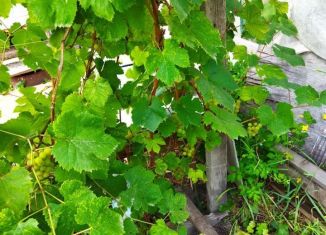 Продам участок, 7 сот., Юрга, площадь Советов