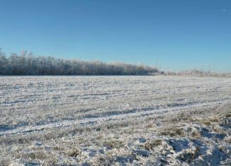 Продажа участка, 7.5 сот., деревня Мокино