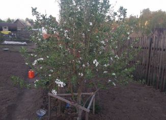 Продажа дачи, 11.3 м2, Бийск