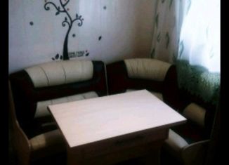 Дом на продажу, 45 м2, деревня 1-я Чаплыгина, Весёлая улица, 60