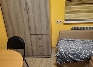 Сдам в аренду квартиру студию, 20 м2, Котельники, улица Промзона Силикат, 18