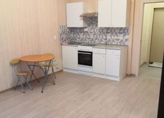 Сдаю квартиру студию, 29 м2, Мурино, проспект Авиаторов Балтики, 3, ЖК Мой Город