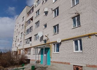 1-комнатная квартира на продажу, 33.3 м2, деревня Евсеево, деревня Евсеево, 32А