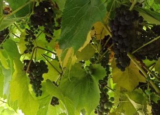 Продается дом, 12 м2, СНТ Турбина