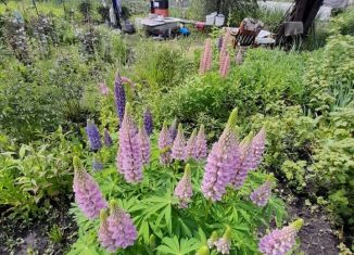 Продаю дачу, 10 м2, СДТ Пригородное, 9-я линия