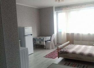 Аренда 1-ком. квартиры, 30 м2, посёлок Марьино, улица Харлампиева, 46