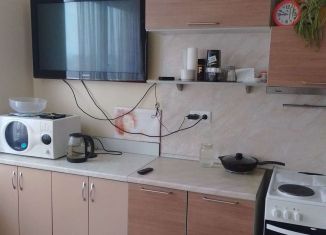 Сдаю трехкомнатную квартиру, 90 м2, Мурино