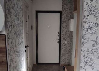 Аренда квартиры студии, 26 м2, Мурино, ЖК Авиатор, Ручьёвский проспект, 2