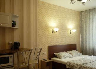Квартира в аренду студия, 28 м2, Кемеровская область, улица Сарыгина, 35