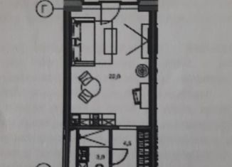 Продаю квартиру студию, 29.5 м2, Санкт-Петербург, набережная Макарова, 58с1, ЖК Доклэндс