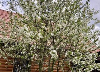 Продается дом, 150 м2, деревня Настасьино, улица Витольдина, 51