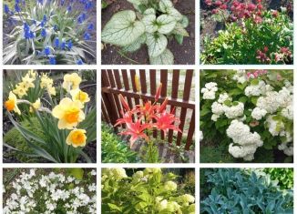 Дача на продажу, 56 м2, СНТ Локомотив-2