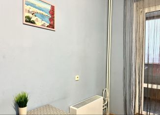Однокомнатная квартира в аренду, 40 м2, Омск, улица Степанца, 3